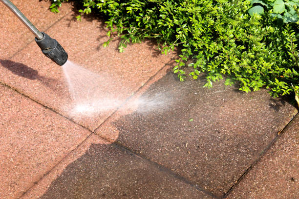 Best Pressure Washing Near Me  in Bradford, TN